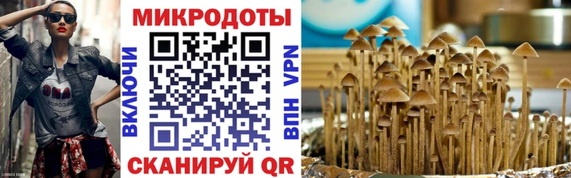 Галлюциногенные грибы MAGIC MUSHROOMS  Иркутск 