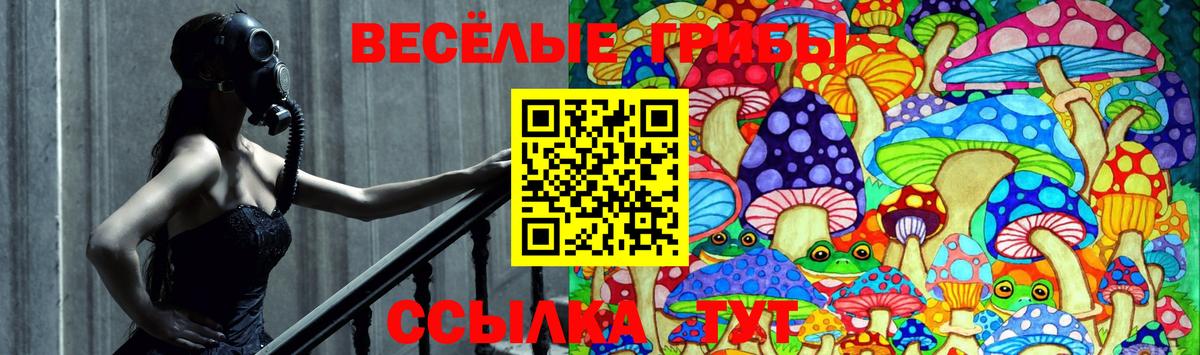 Галлюциногенные грибы прущие грибы  Вход с VPN  Иркутск  Галлюциногенные грибы Psilocybe 