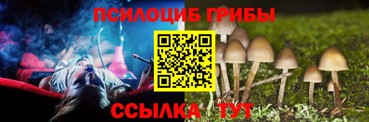Псилоцибиновые грибы прущие грибы Иркутск